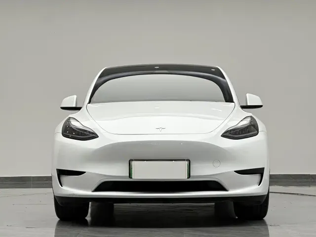 Tesla Model Y — Фото автомобиля 2