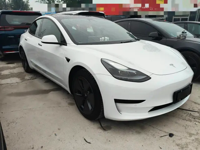 Tesla Model 3 2021 Standard Range Rear-Wheel Drive Upgrade — Фото автомобиля 3
