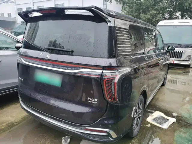 Hongqi HQ9 PHEV — Фото автомобиля 6