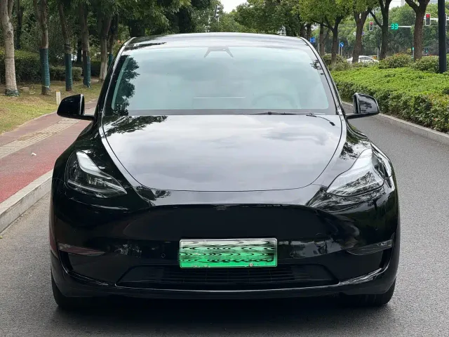 Tesla Model Y — Фото автомобиля 2