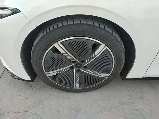 Forthing Xinghai S7 — Фото автомобиля 22