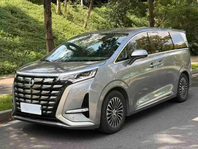 Фотография автомобиля — Denza D9