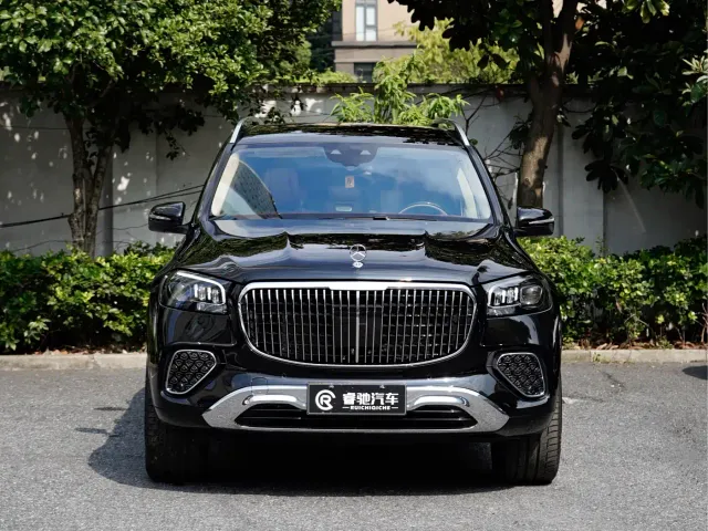 Mercedes-Benz Maybach GLS — Фото автомобиля 2