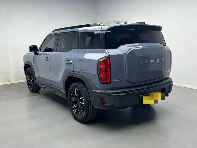 Haval Cool Dog — Фото автомобиля 4