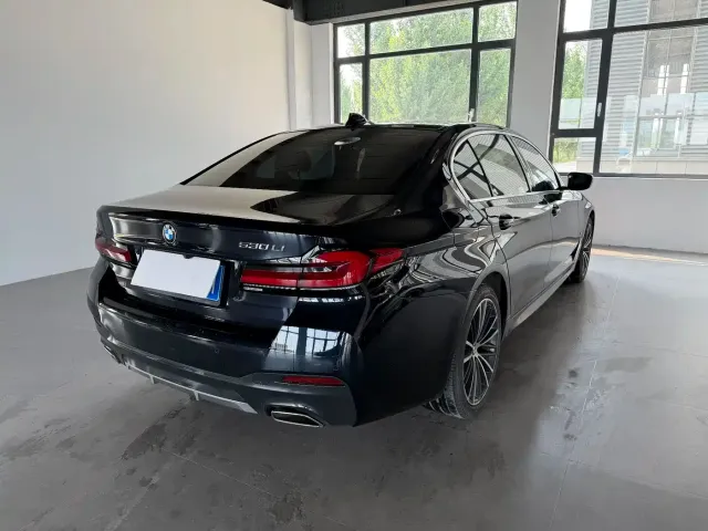 BMW BMW 5 Series 2022 530Li Leading M Sport Package — Фото автомобиля 5