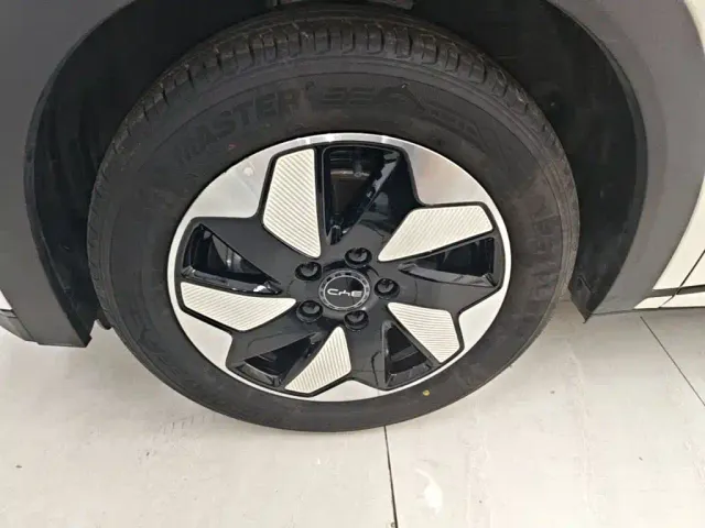BYD Dolphin 2025 420km Freedom Edition — Фото автомобиля 22