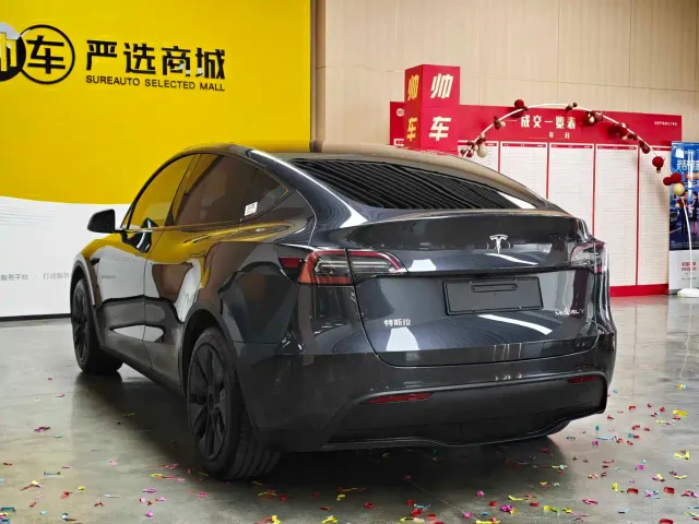 Tesla Model Y — Фото автомобиля 4
