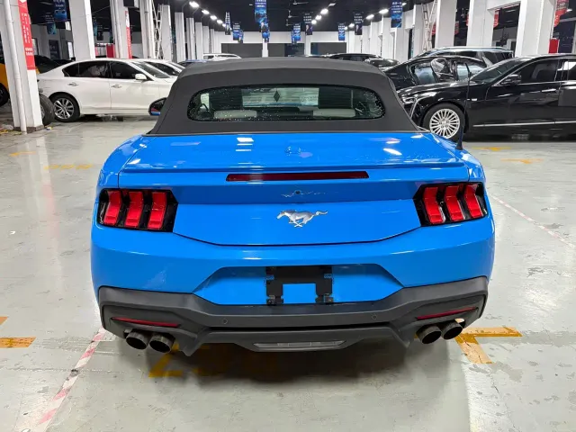 Ford Mustang — Фото автомобиля 14