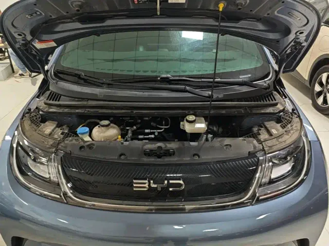 BYD Dolphin — Фото автомобиля 19