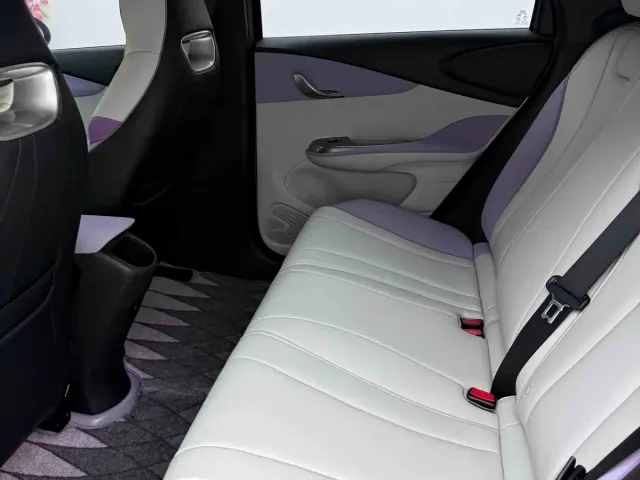 BYD Dolphin — Фото автомобиля 6