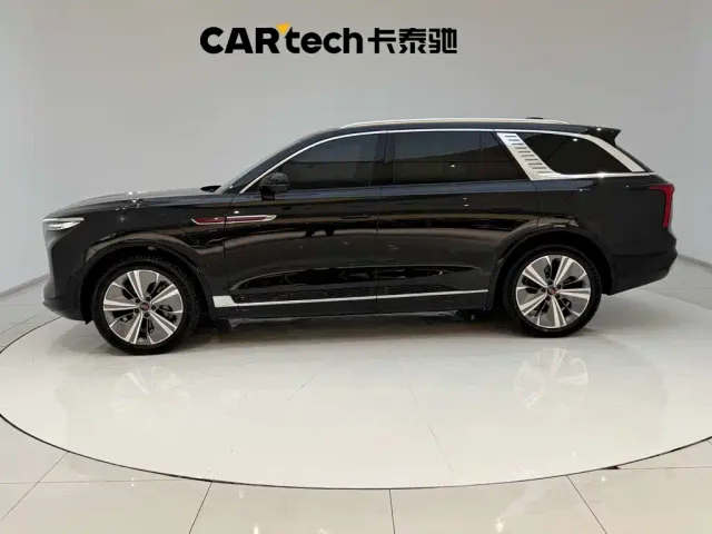 Hongqi Hongqi E-HS9 2021 460km Flagship Comfort 6-seater — Фото автомобиля 6