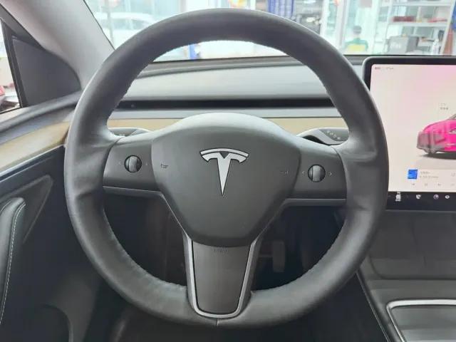 Tesla Model Y — Фото автомобиля 12