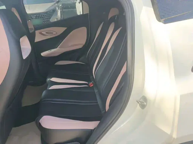 BYD Seagull — Фото автомобиля 16