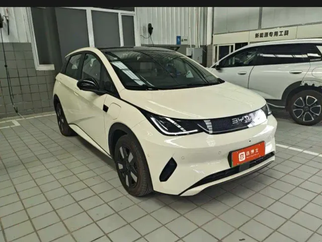 BYD Dolphin — Фото автомобиля 2