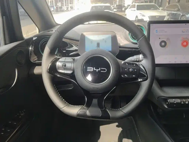 BYD Dolphin — Фото автомобиля 10