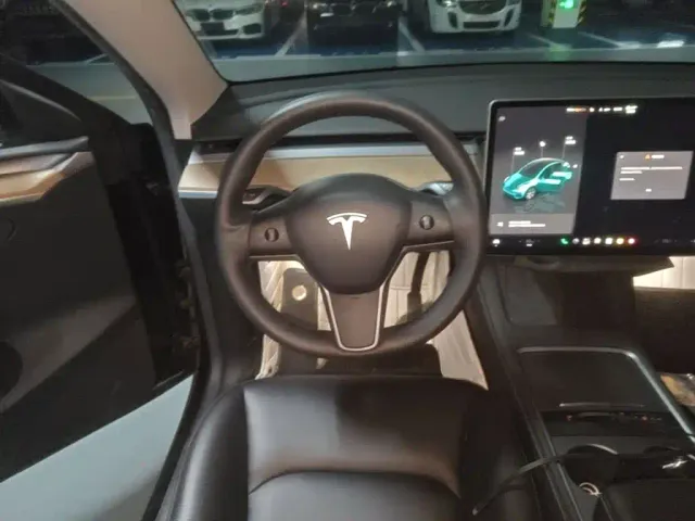 Tesla Model Y — Фото автомобиля 10
