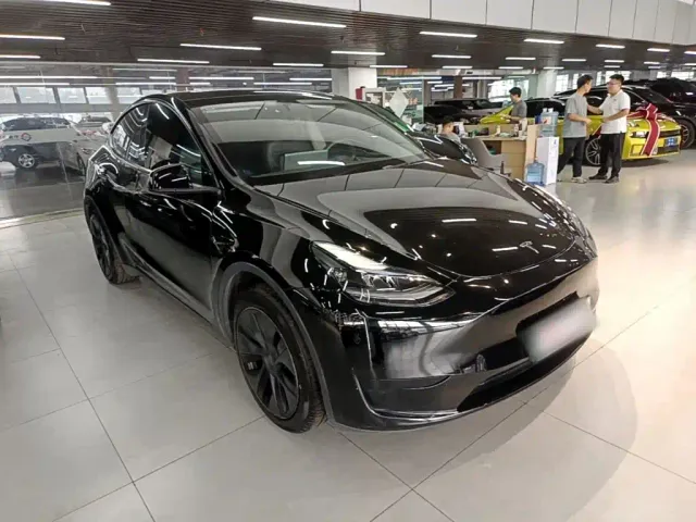 Tesla Model Y — Фото автомобиля 3
