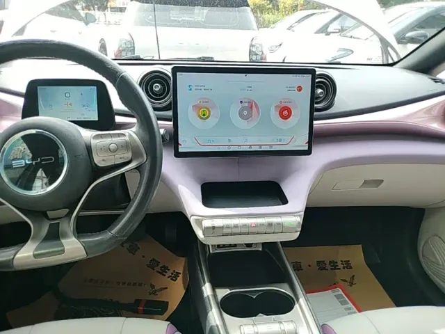 BYD Dolphin — Фото автомобиля 12