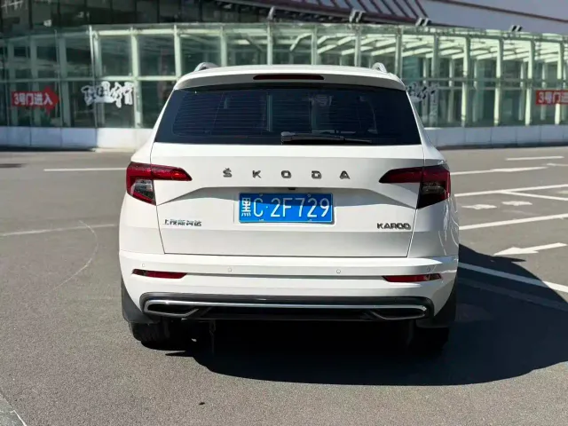 Skoda Karoq — Фото автомобиля 7