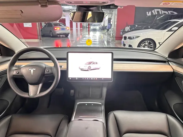 Tesla Model 3 — Фото автомобиля 11