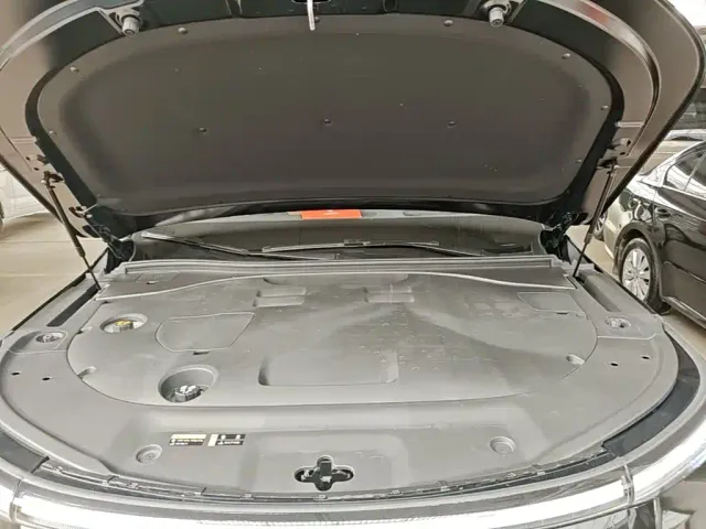GAC Trumpchi Xiangwang S9 — Фото автомобиля 19